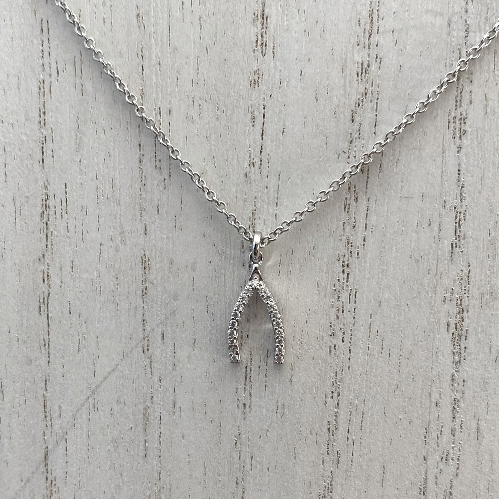 Wishbone charm necklace